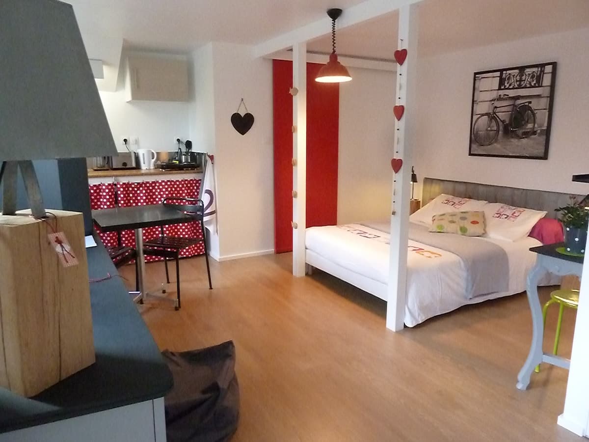 STUDIO EN MAISON 25m2/AVEC JARDIN/QUARTIER CALME - Photo 2