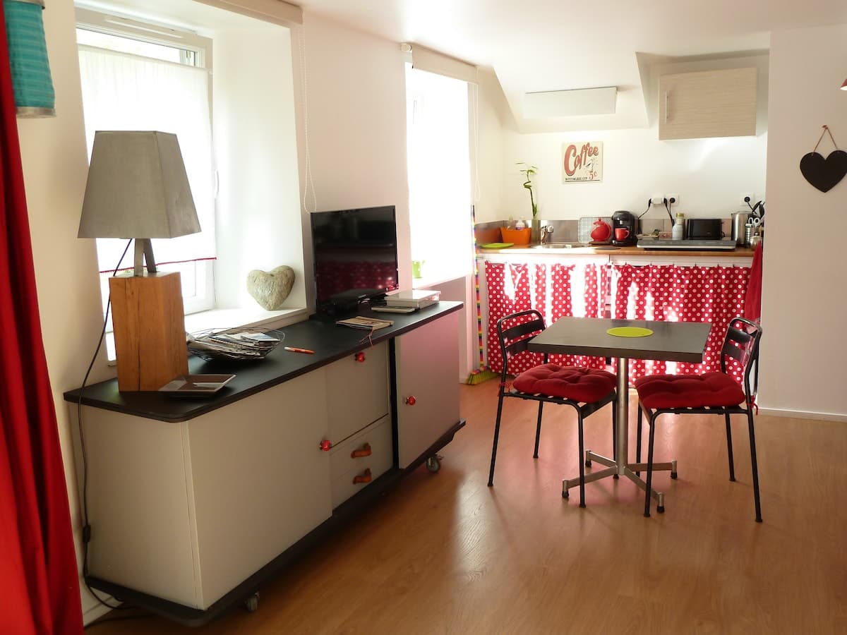 STUDIO EN MAISON 25m2/AVEC JARDIN/QUARTIER CALME - Photo 6
