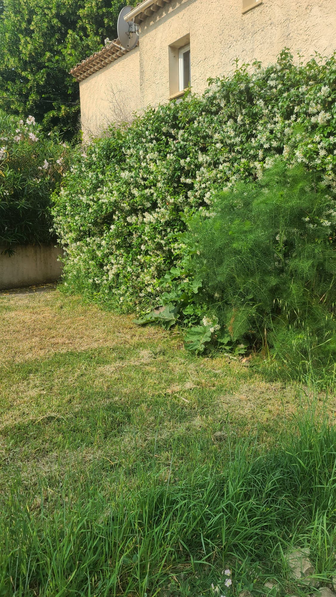 Appartement climatisé 4 pers, vue Luberon, piscine, La Tour-d'Aigues - Photo 3