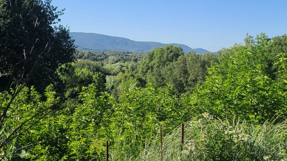 Appartement climatisé 4 pers, vue Luberon, piscine, La Tour-d'Aigues - Photo 21