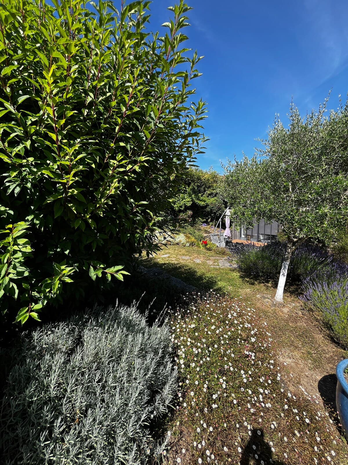 TYCHA-Belle maison ancienne, entièrement rénovée, plages à pied, WIFI THD - Photo 83