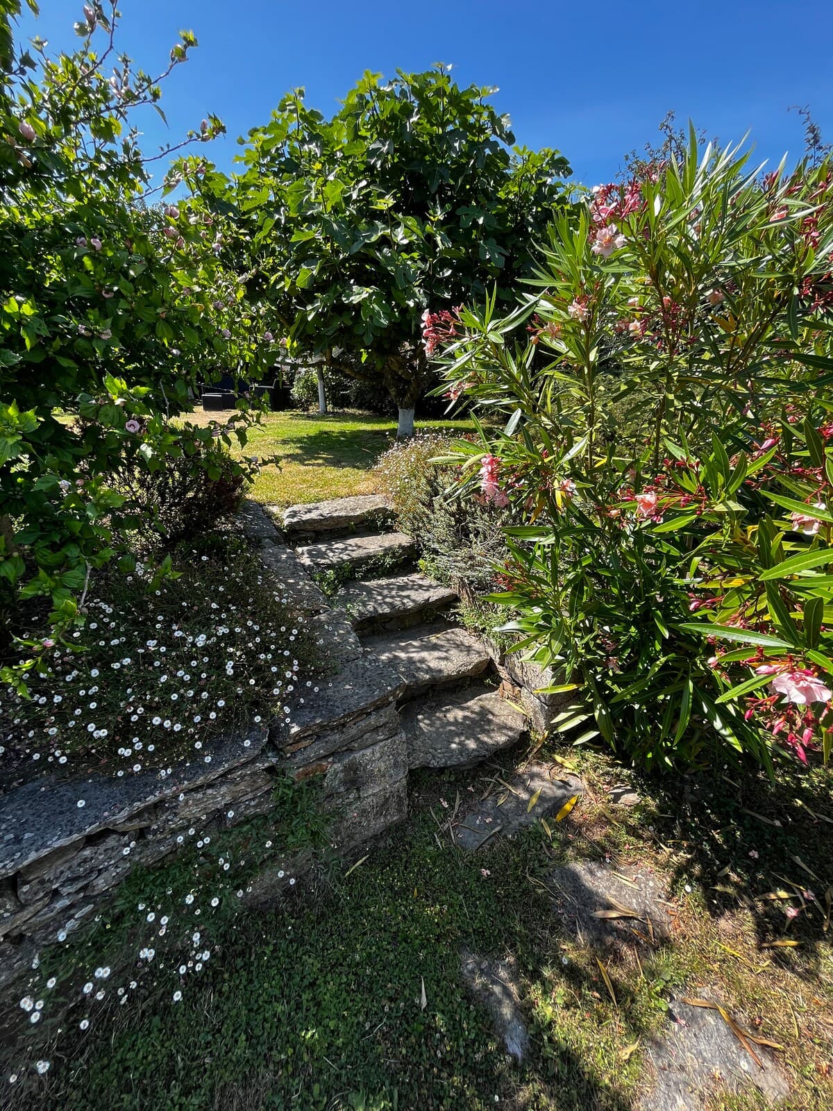 TYCHA-Belle maison ancienne, entièrement rénovée, plages à pied, WIFI THD - Photo 94