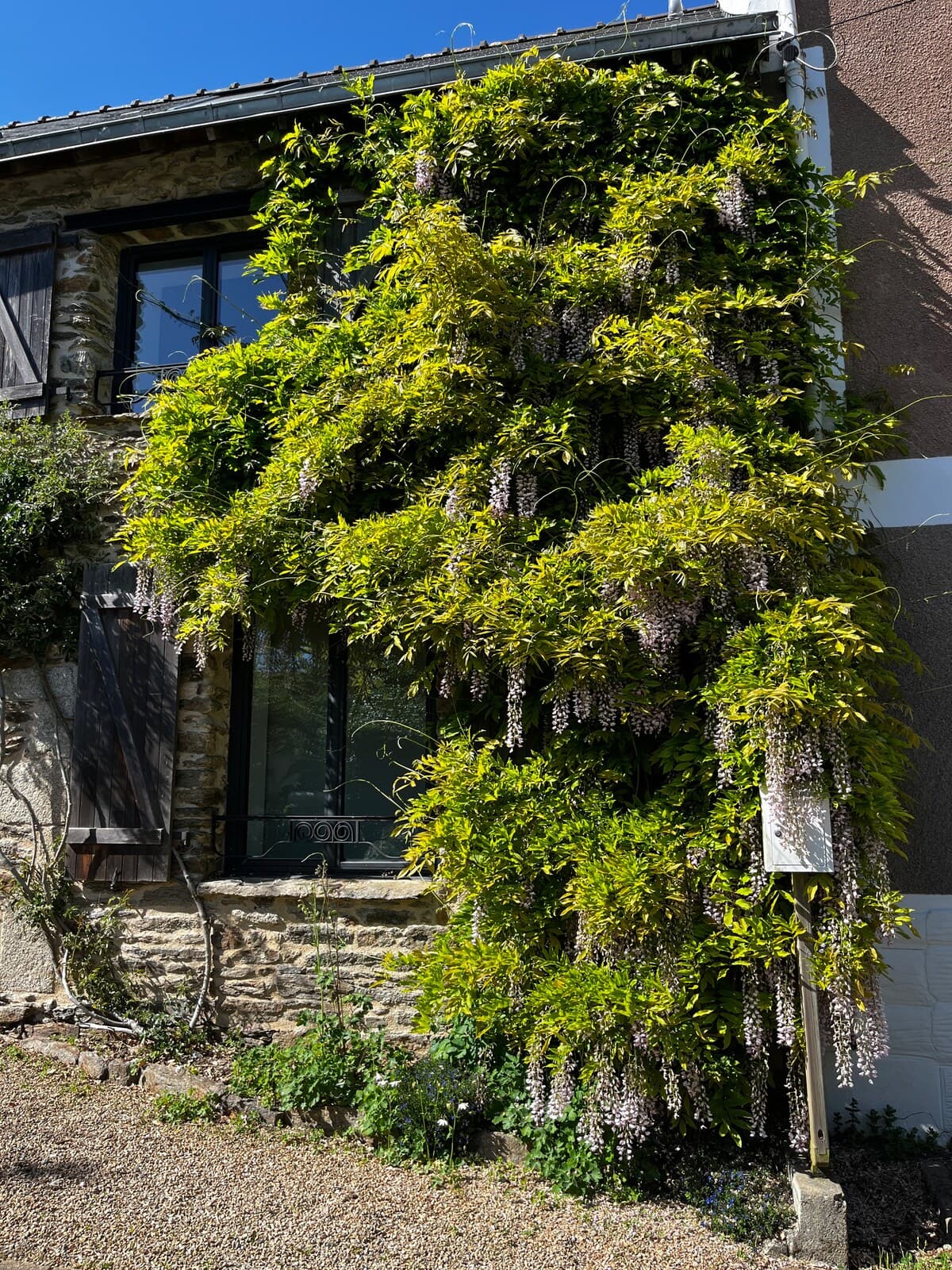 TYCHA-Belle maison ancienne, entièrement rénovée, plages à pied, WIFI THD - Photo 18