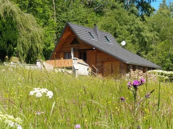 Chalet confortable en Auvergne à Saint-Anthème - Photo 1