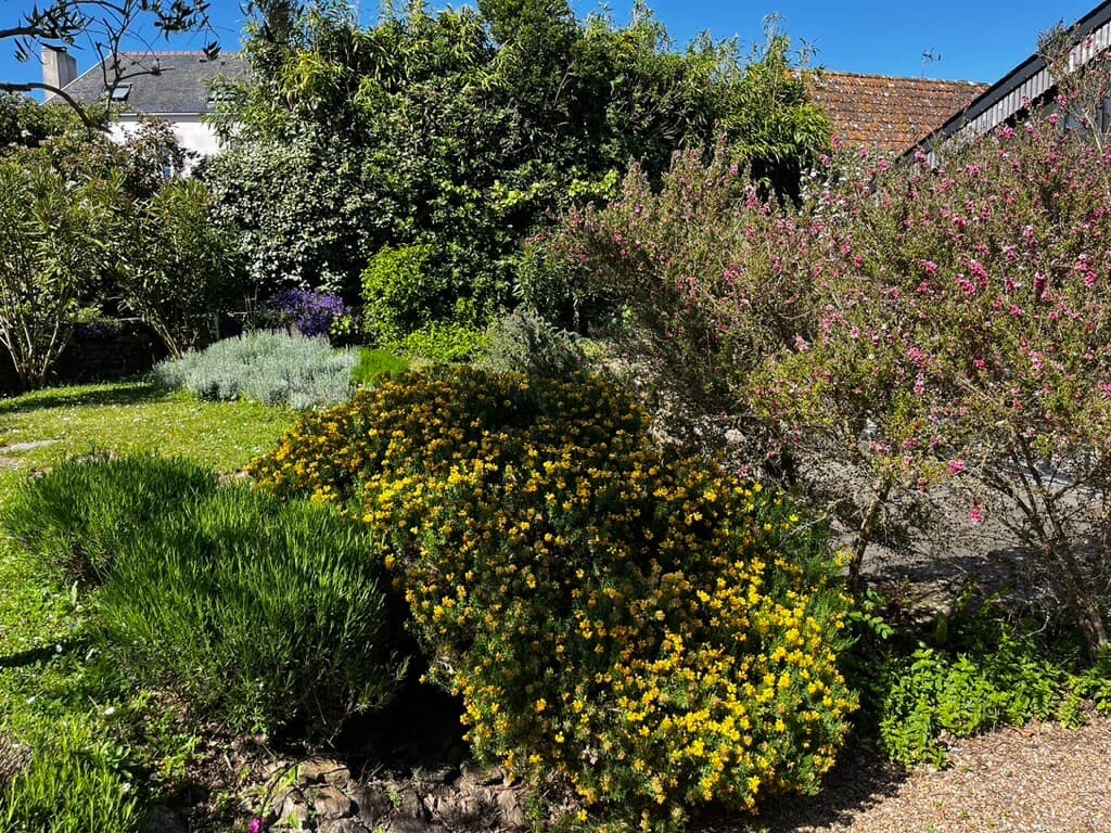 MiniTycha, séjour romantique dans une maison avec jardin et terrasse au bord de l'océan - Photo 8