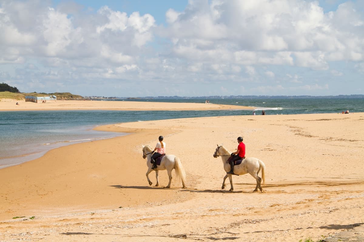 Villa Prat Bras, appartement cocooning face plage, GR34 Le Pouldu - Photo 33