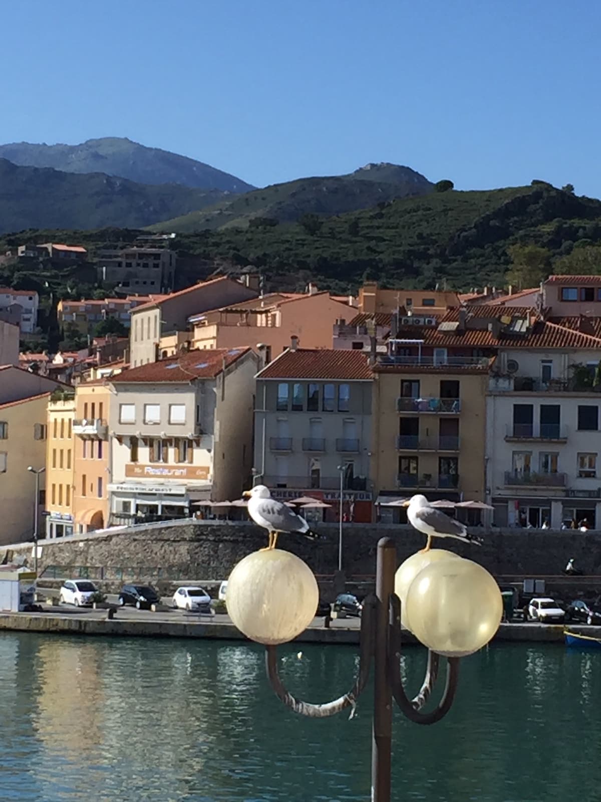 Loft du soleil, 3*, vue port et montagne à Port-Vendres, proche des criques et de Collioure - Photo 16