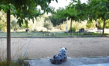 Gîte au vert avec jardin clos et piscine à partager, La Tour-d'Aigues - Photo 50