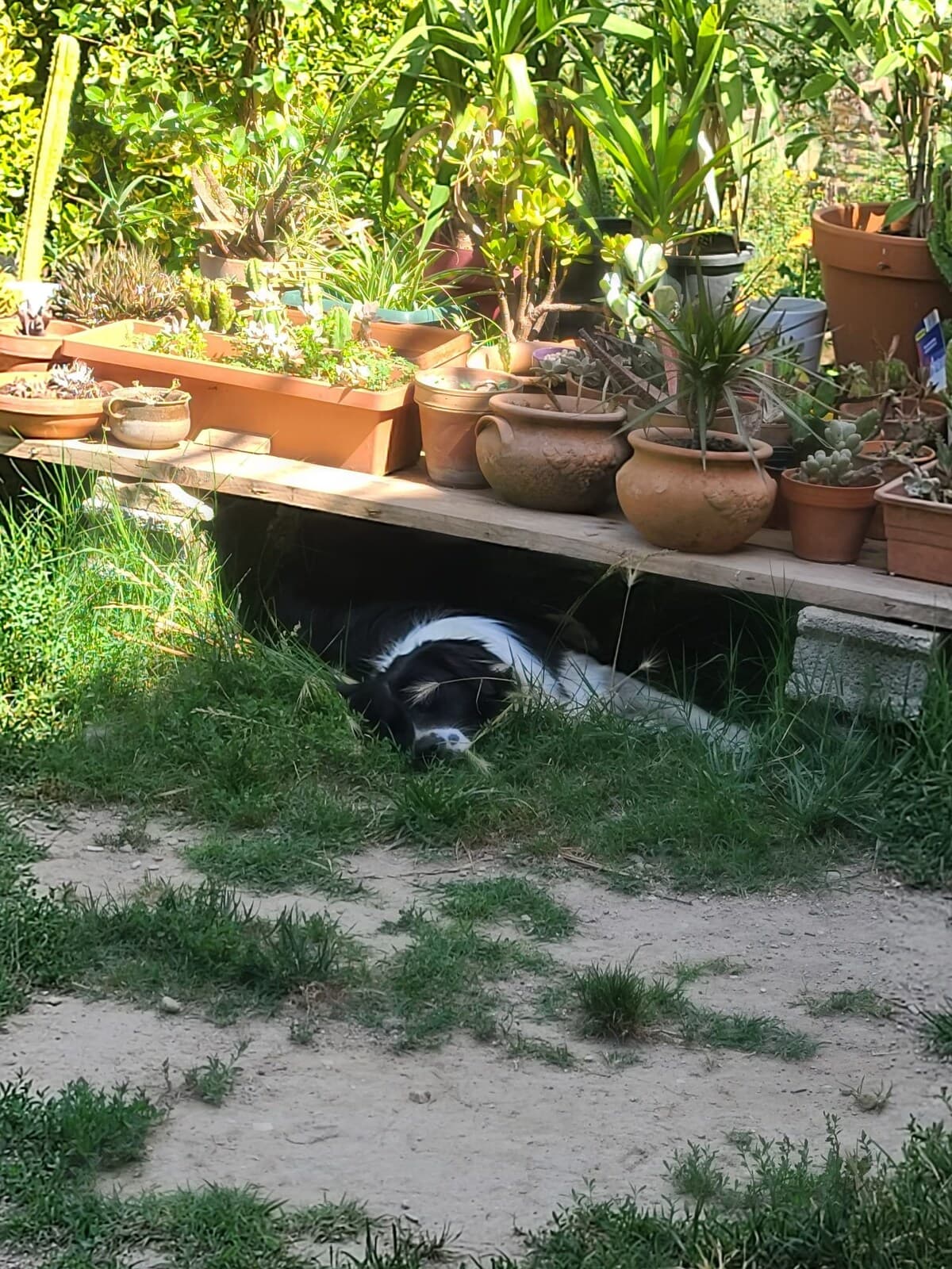 Gîte au vert avec jardin clos et piscine à partager, La Tour-d'Aigues - Photo 23
