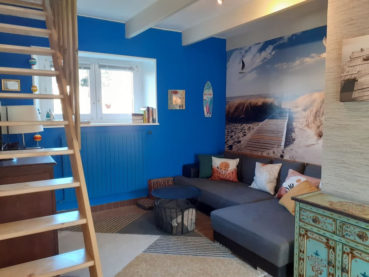 Gîte île de Batz, entre terre et mer - Photo 5