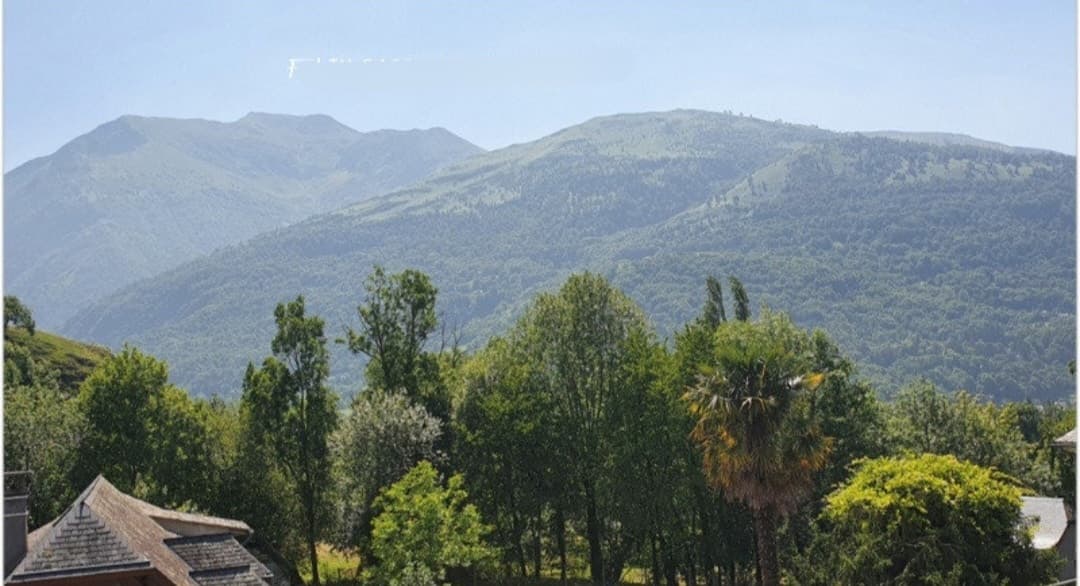 Gîte Maison familiale 5 chambres à Beaucens, vue montagne, Hautes Pyrénées, Argeles-Gazost - Photo 9